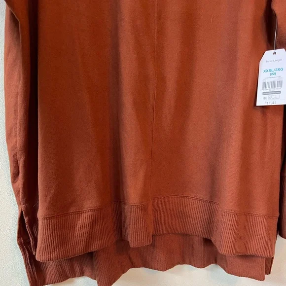 Plus Size Rust Crew Neck Long Sleeve Sweater NWT - Picture 6 of 8